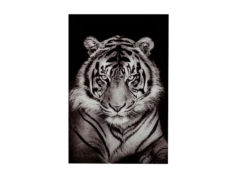 Toile Déco "Tigre" 100x150cm Noir & Blanc