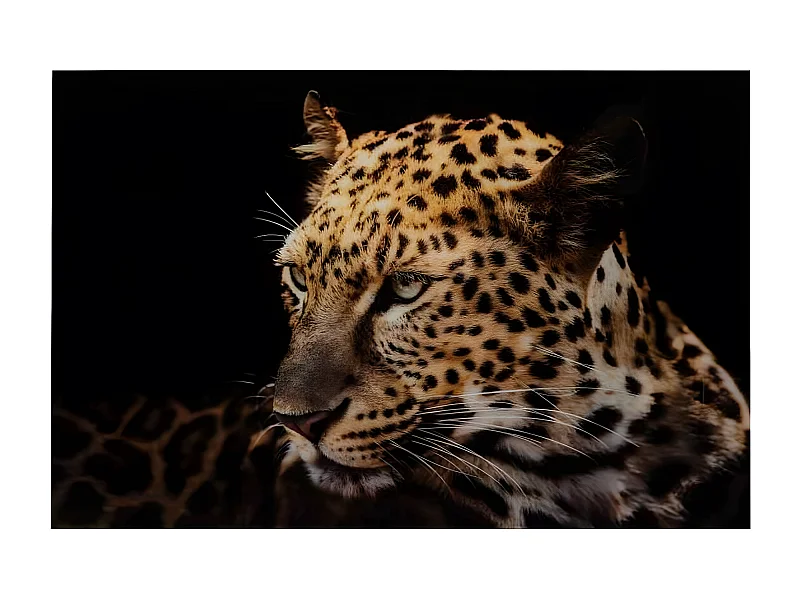 Tableau Déco en Verre "Léopard" 100x150cm Noir & Orange