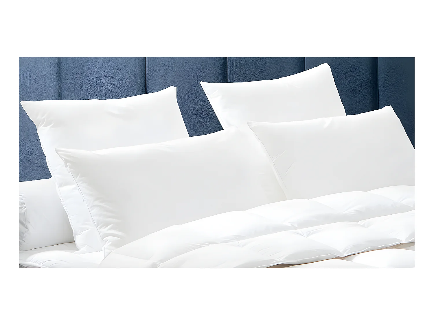 Zestaw 2 poduszek DODO z naturalnego puchu BAFFIN - 65x65 cm