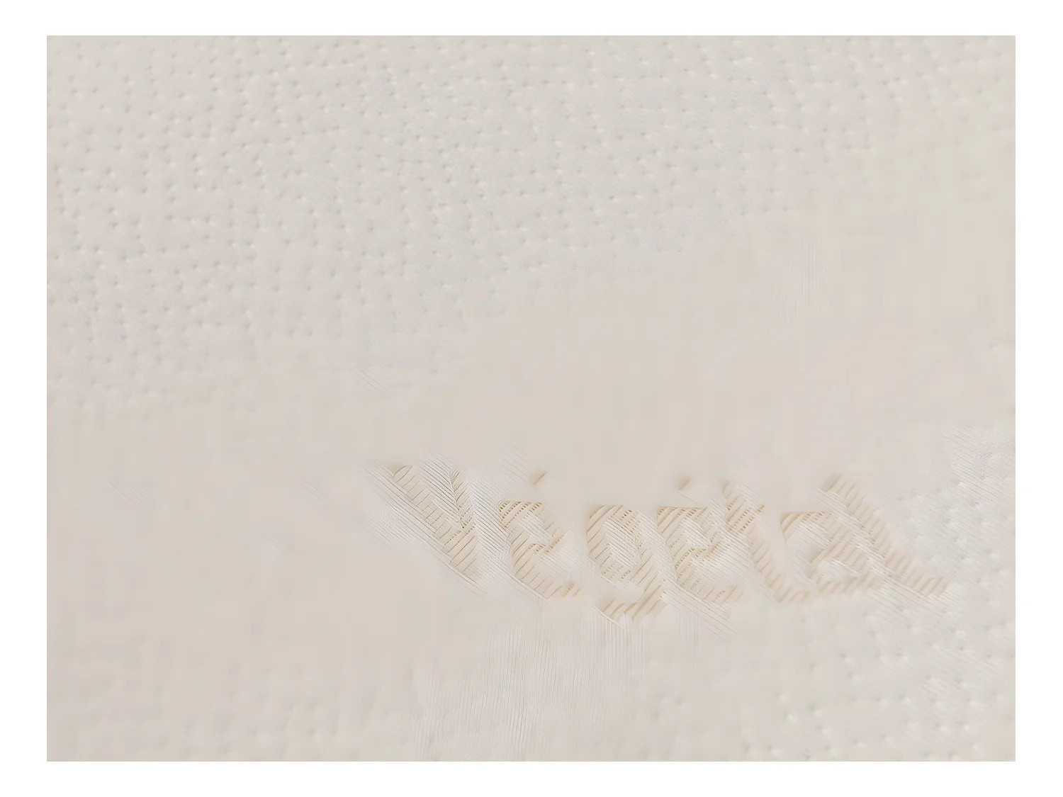 Set 2 Ergonomische hoofdkussens met vormgeheugen DODO VEGETAL - 60x60 cm