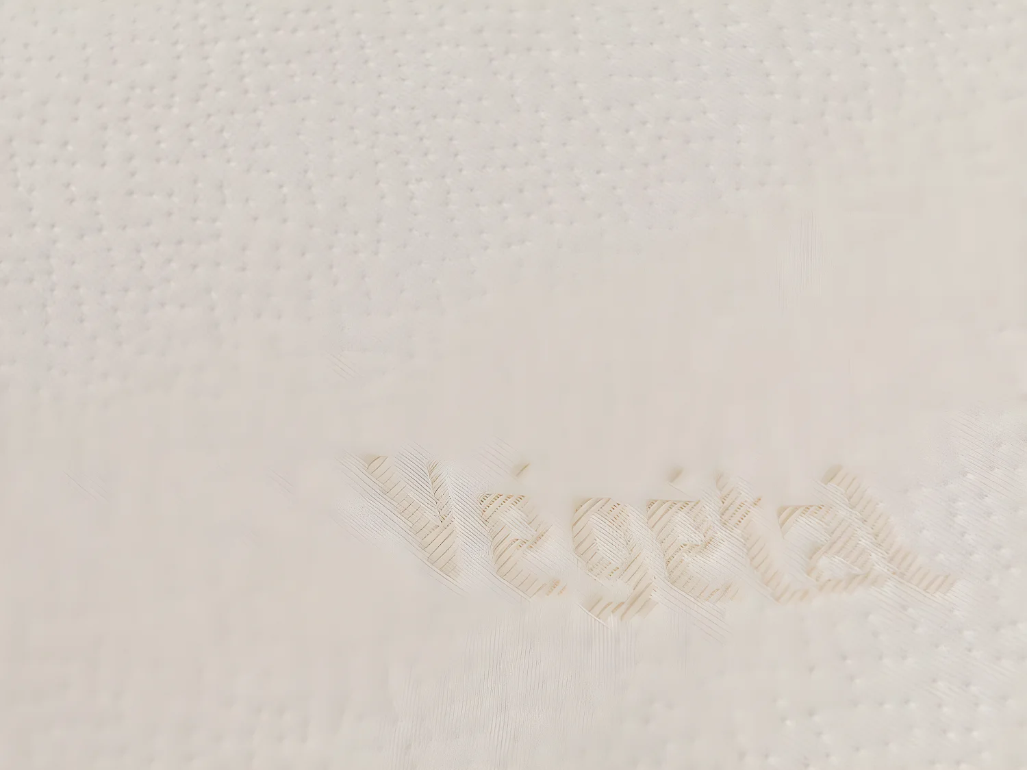 Conjunto de 2 almofadas ergonómicas com memória de forma 60x60cm - DODO VEGETAL