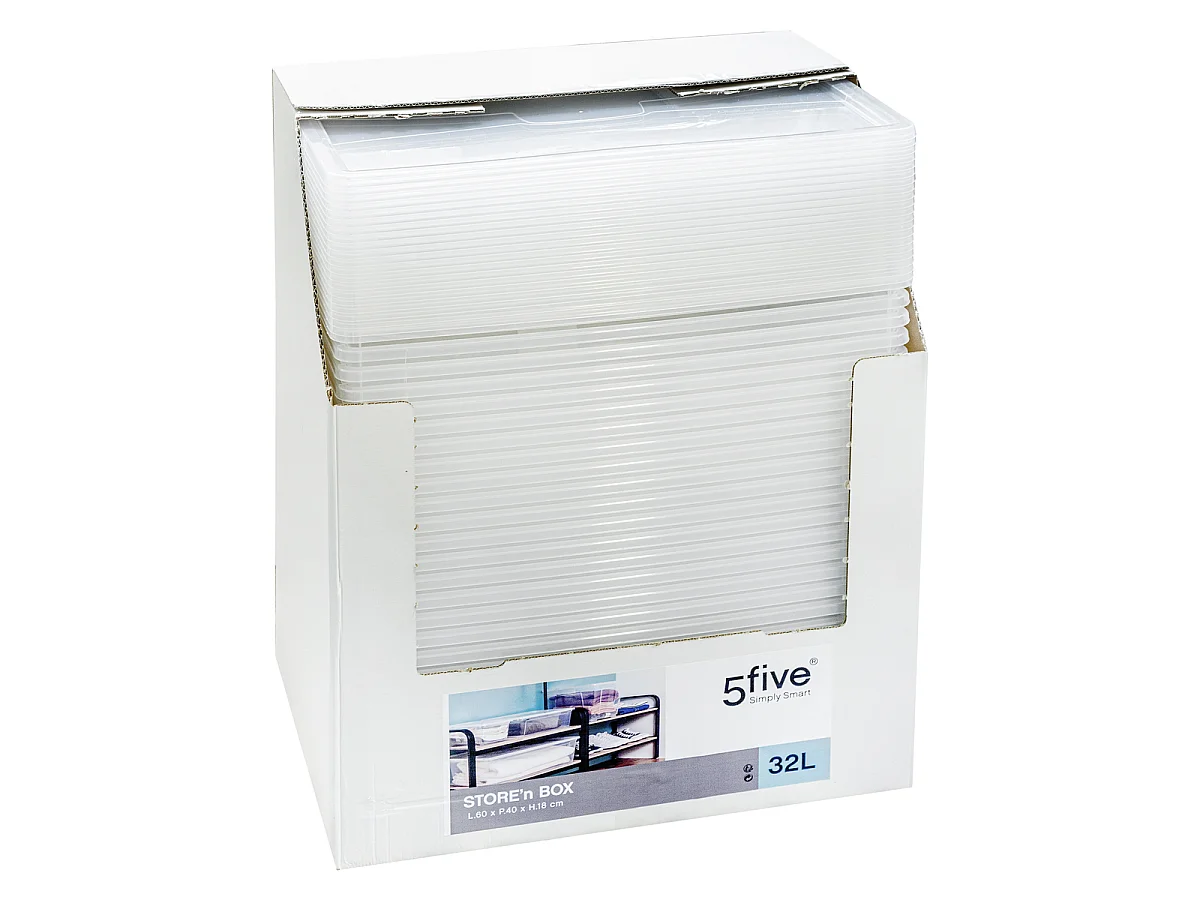 Boîte de Rangement "Store N'Box" 30L Transparent