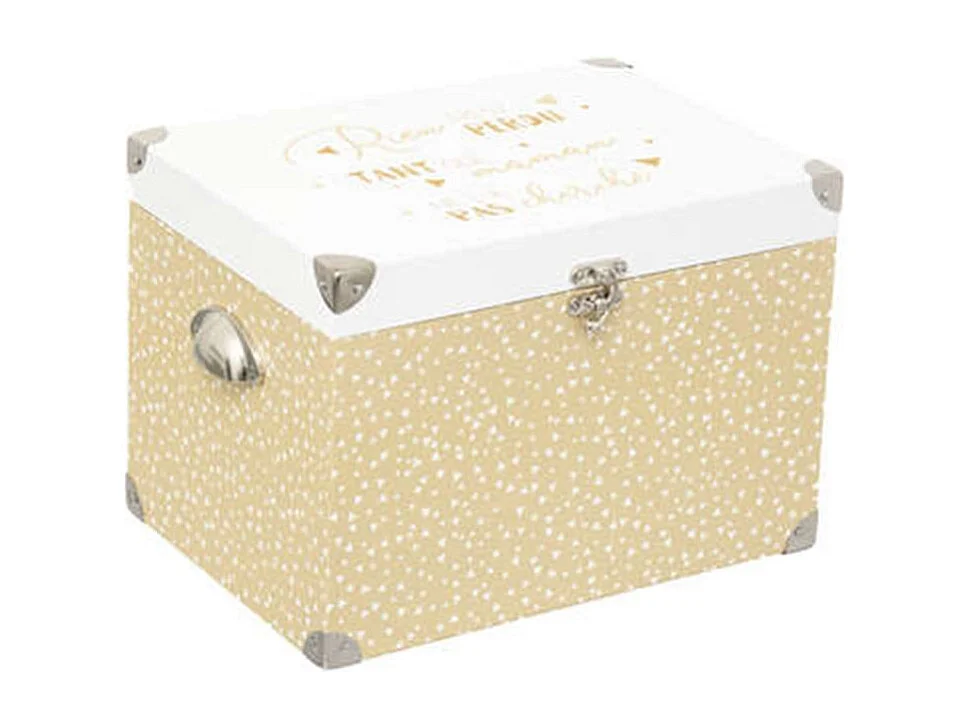 Lot de 2 Coffres de Rangement "Carton" 39cm Beige