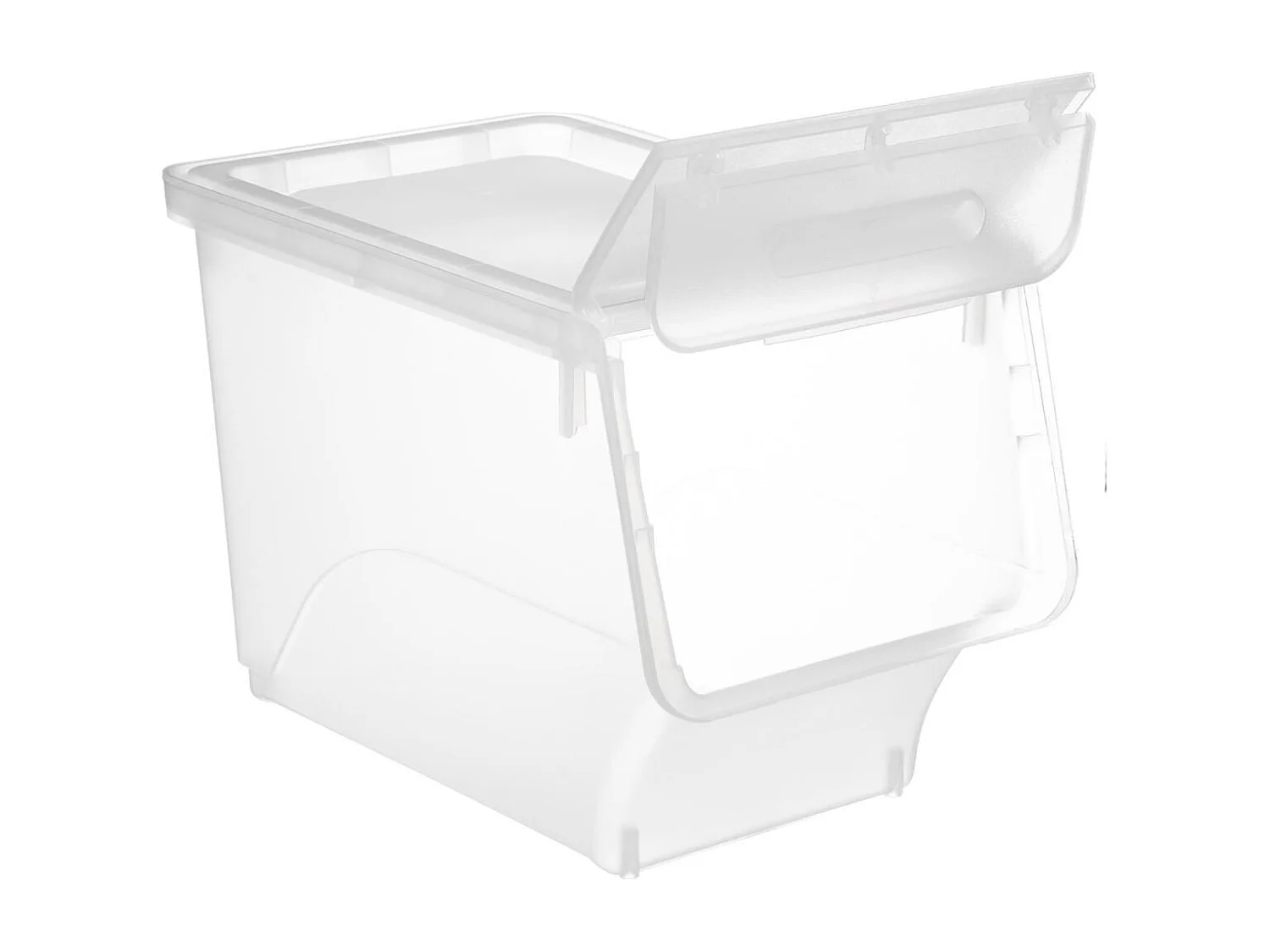 Boîte de Rangement "Cara" 24L Transparent