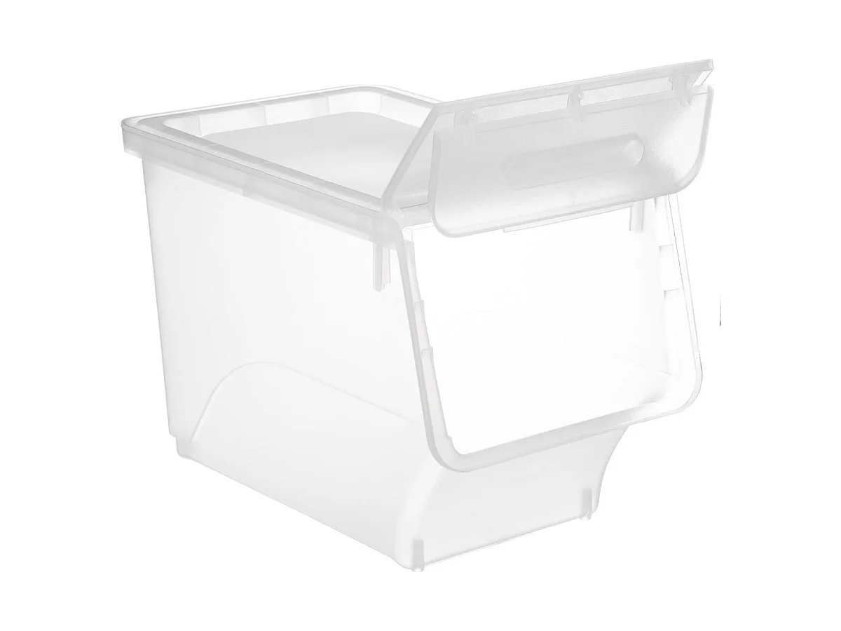 Boîte de Rangement "Cara" 24L Transparent