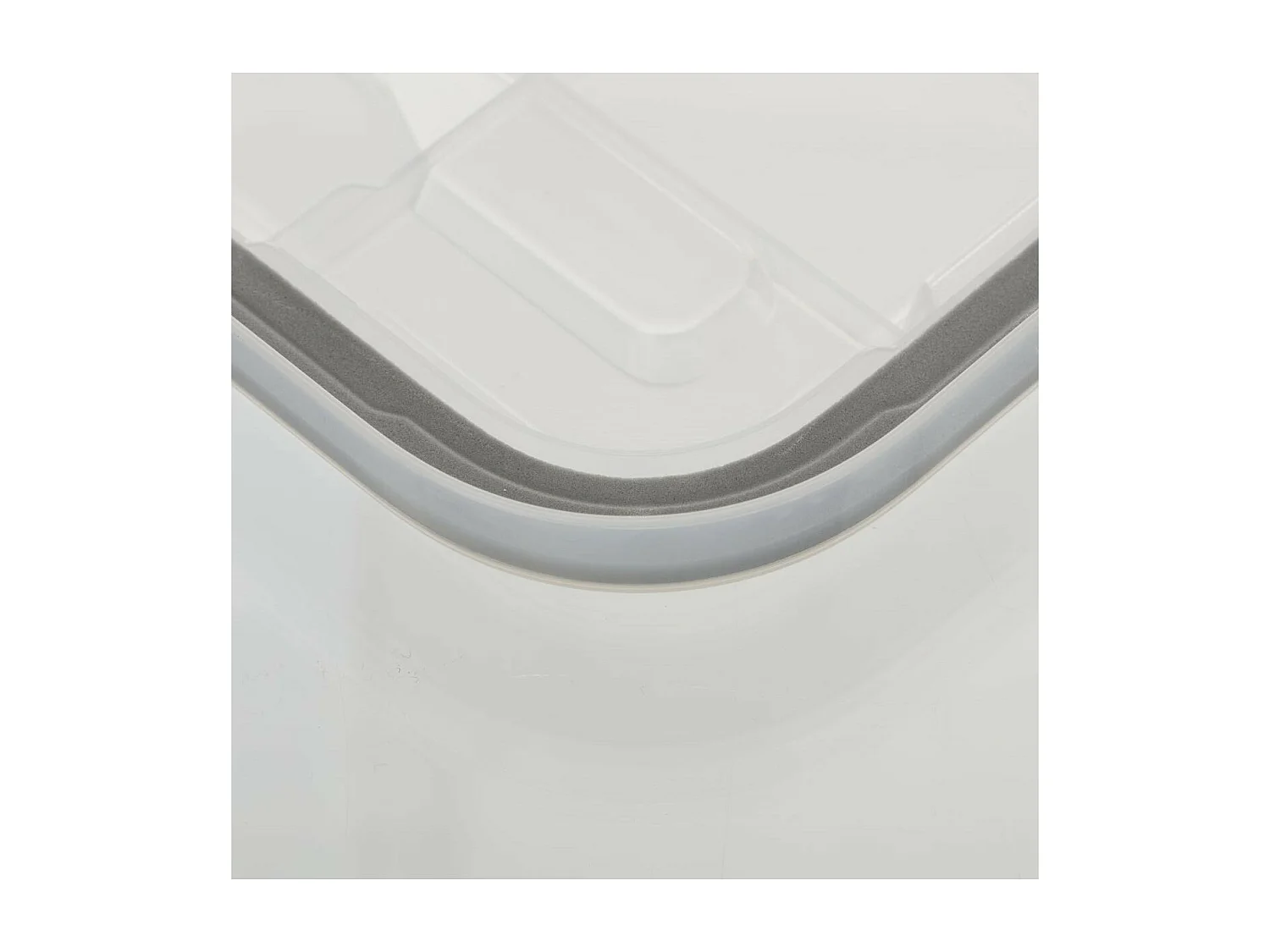 Boîte de Rangement à Clips "Protect" 18L Transparent