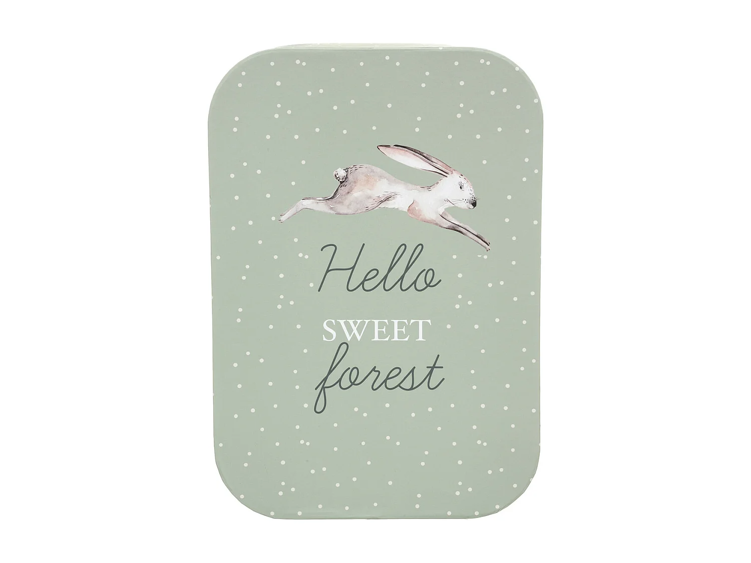 Lot de 3 Boîtes de Rangement "Forêt" 36cm Multicolore