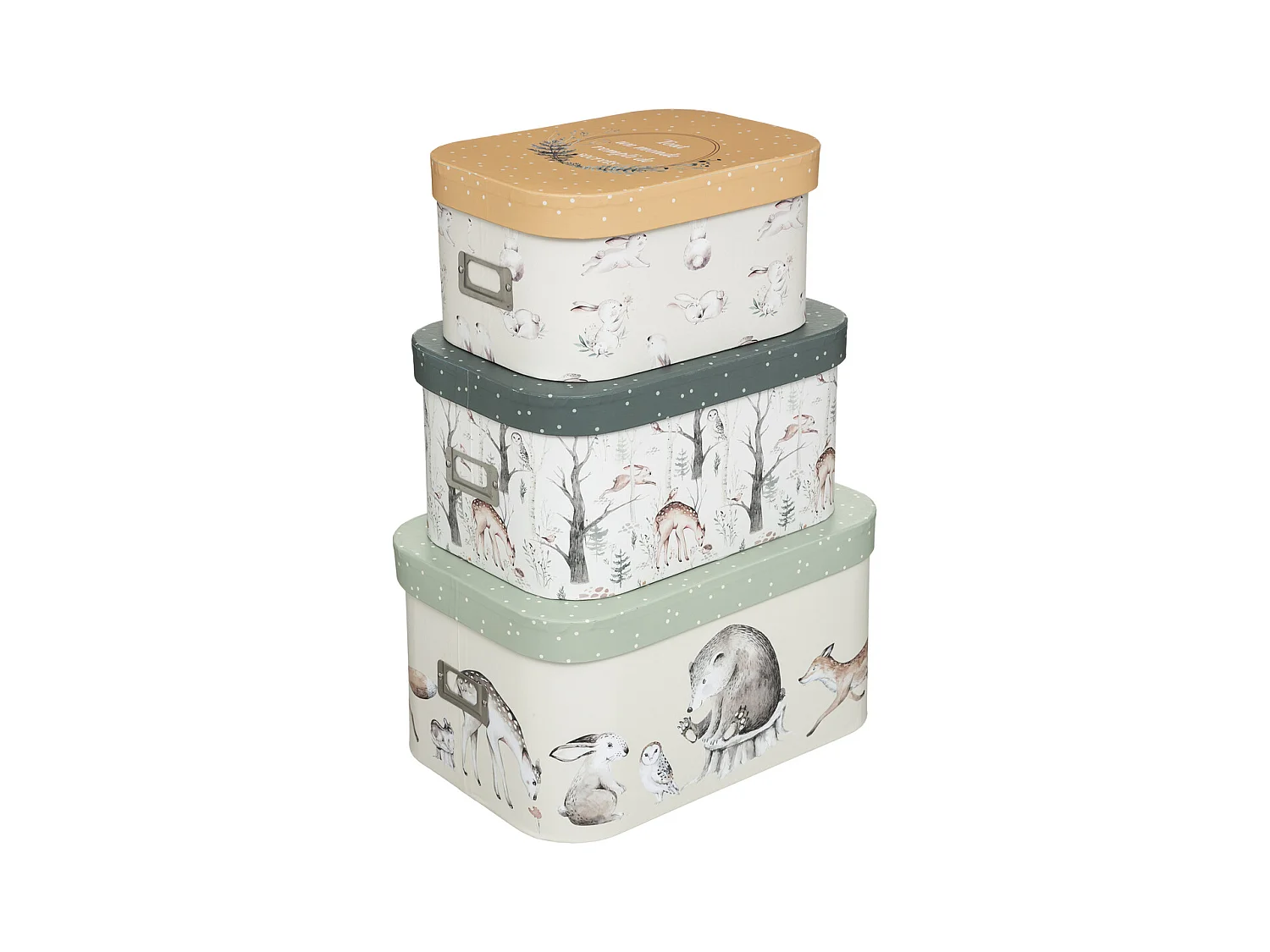 Lot de 3 Boîtes de Rangement "Forêt" 36cm Multicolore