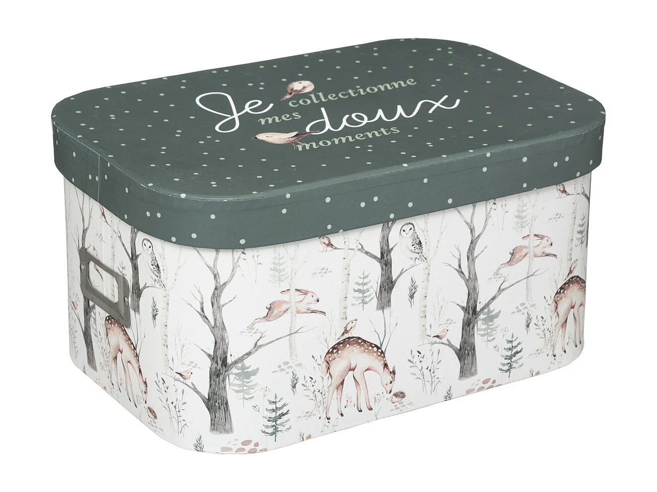 Lot de 3 Boîtes de Rangement "Forêt" 36cm Multicolore