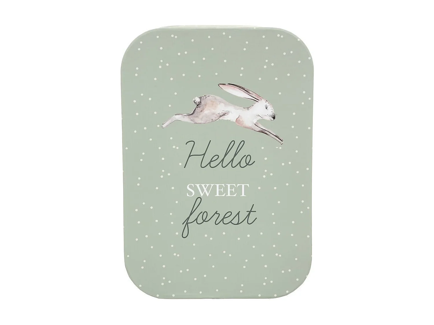 Lot de 3 Boîtes de Rangement "Forêt" 36cm Multicolore