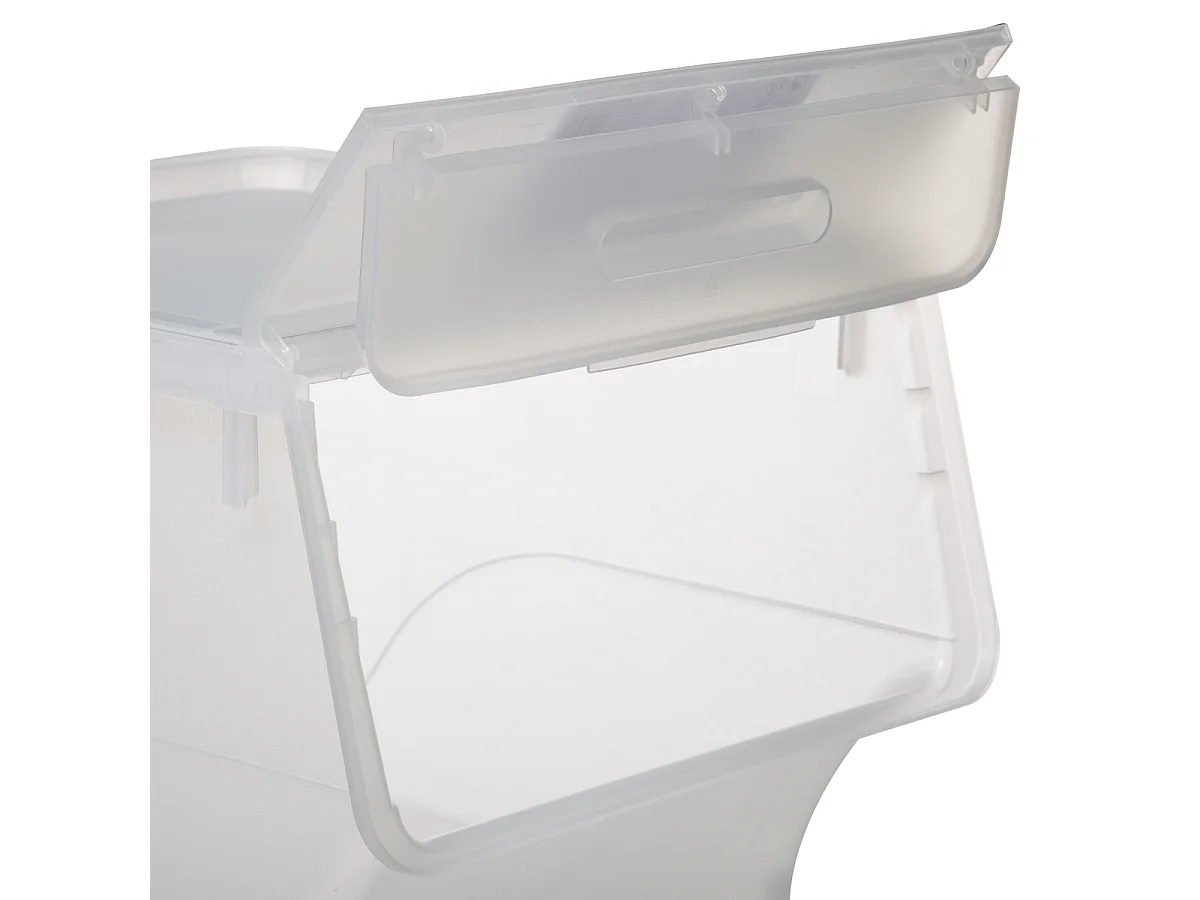 Boîte de Rangement "Cara" 34L Transparent