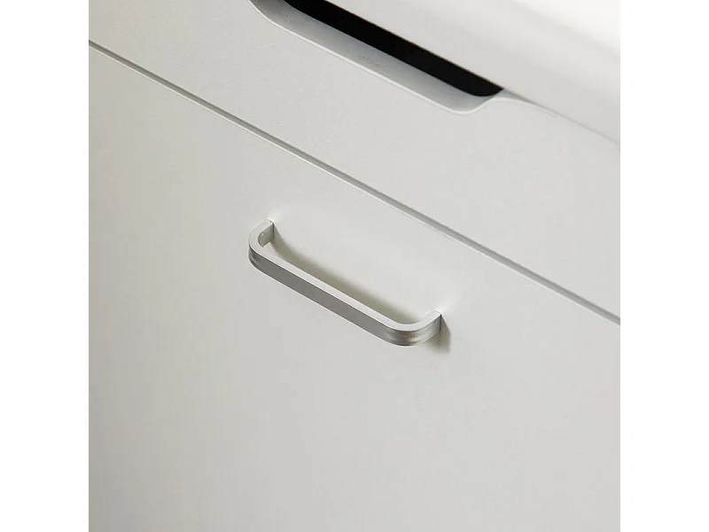 Banc à Chaussures Meuble Chaussures Commode à Chaussures Meuble d’entrée 1 abattant, FSR95-W