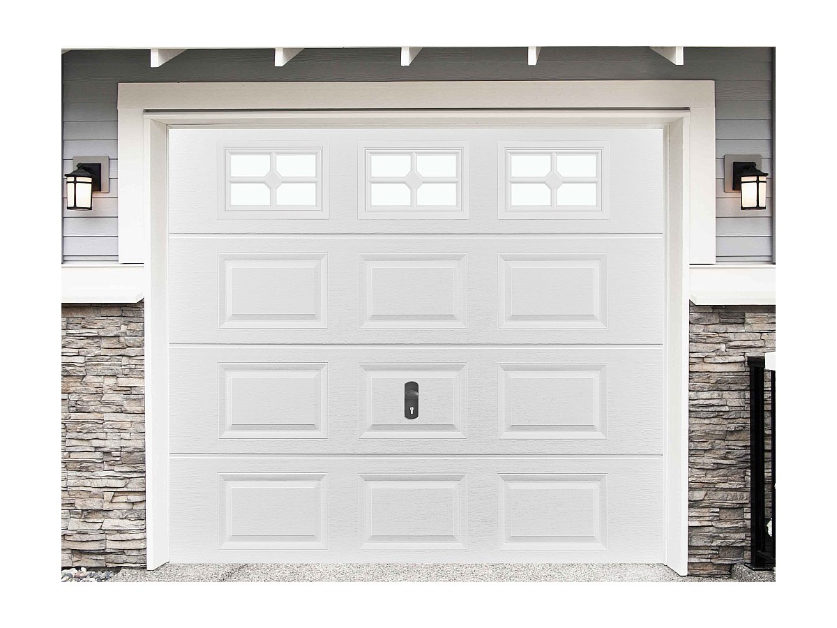 PACK puerta de garaje SPEOS con ventanas + motor ECO LINE