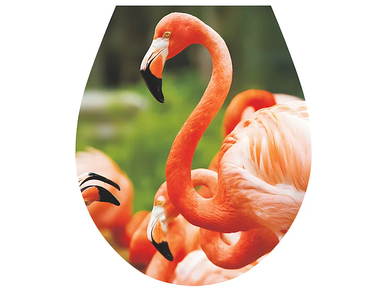 Flemings Roses 'Water Sticker COPERTURA WC Coperchio Art 32x38cm