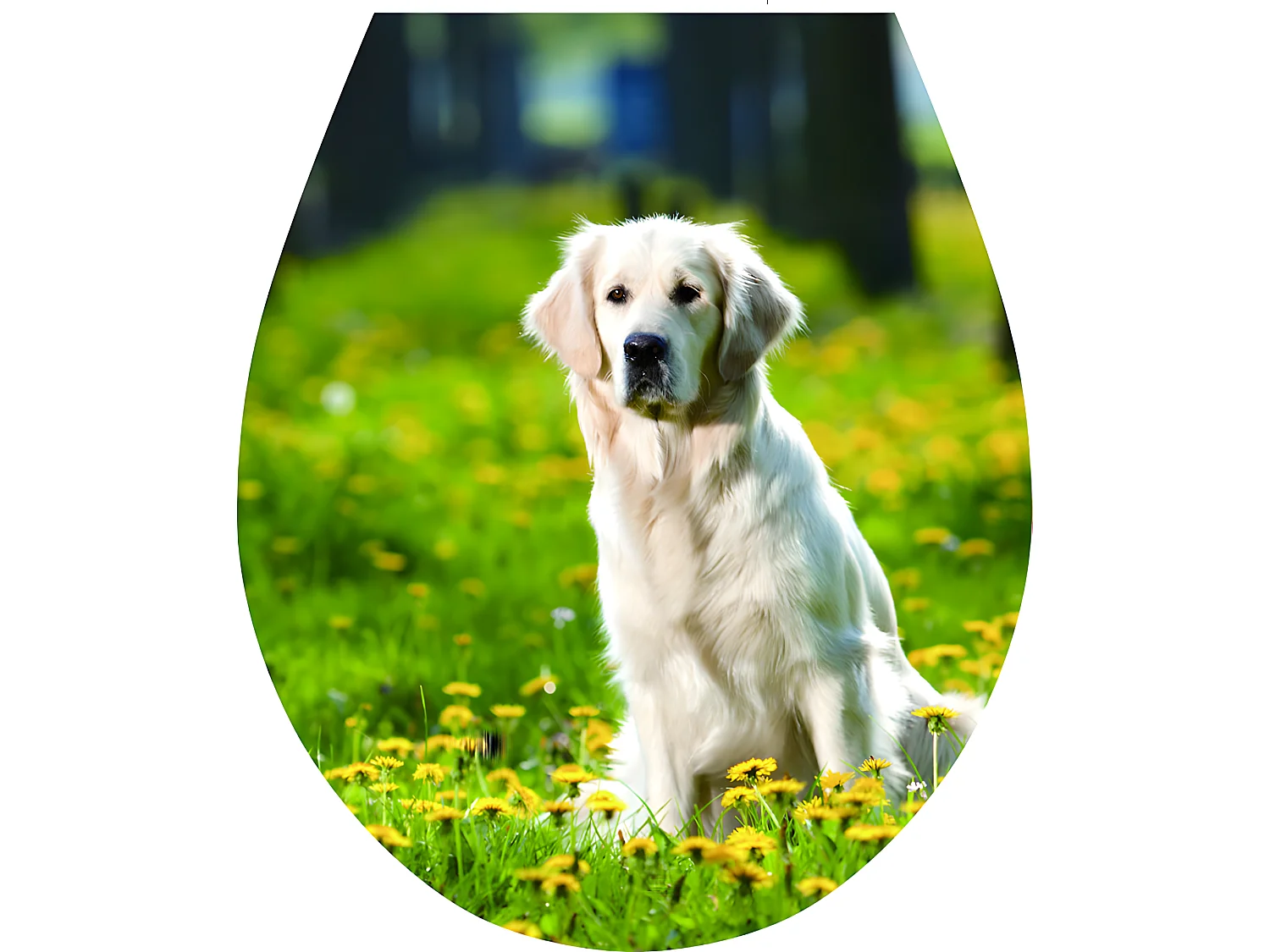 'Hund' WC-Sitz Aufkleber Toilettendeckel Startseite Art 32x38cm