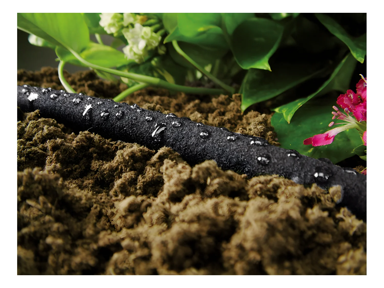 Gartenschlauch Schwarz Tröpfchenbewässerung 1/2 X 15M