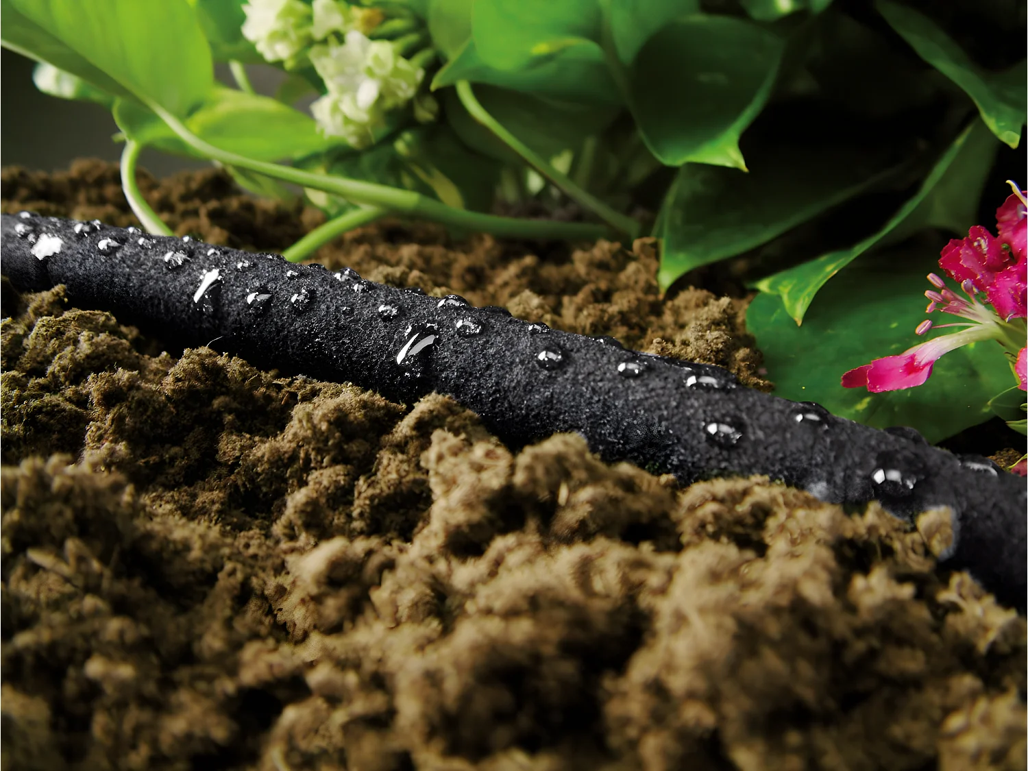 Tubo Di Irrigazione Nero Irrigazione A Goccia 1/2 X 15M