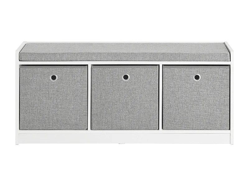 Banc de Rangement avec Coussin Rembourré Meuble Entrée, FSR65-DG