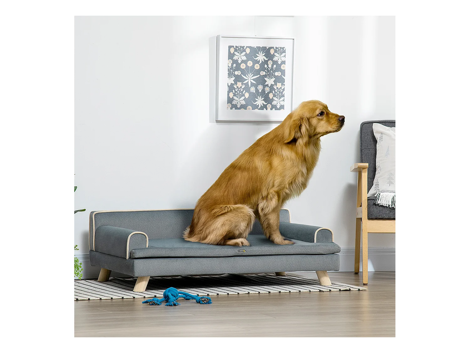 Canapé chien lit pour chien design scandinave coussin moelleux piètement bois dim. 100L x 62l x 32H cm polyester gris