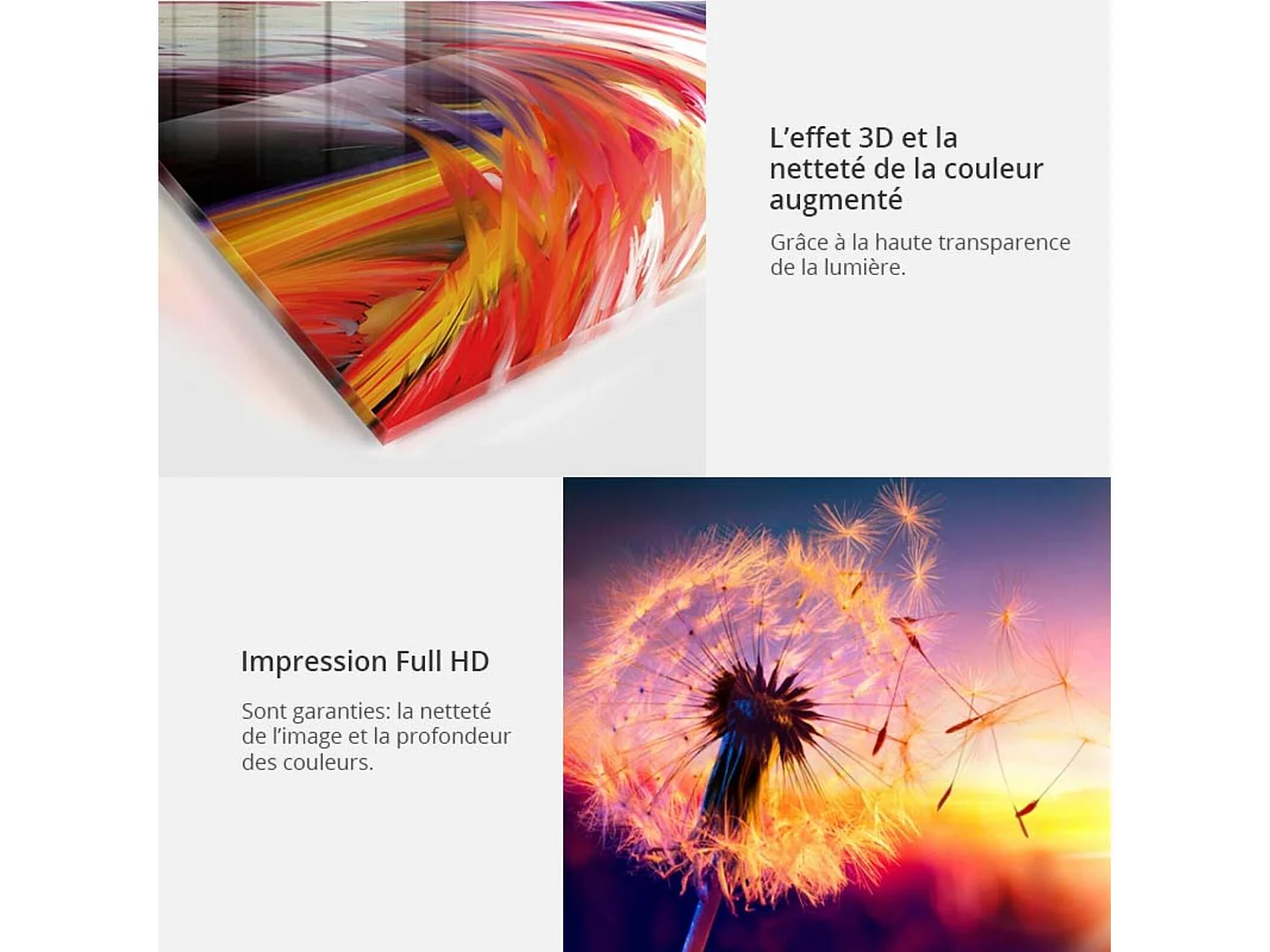 Tableau sur verre éléphants bruns - 200 x 100 cm