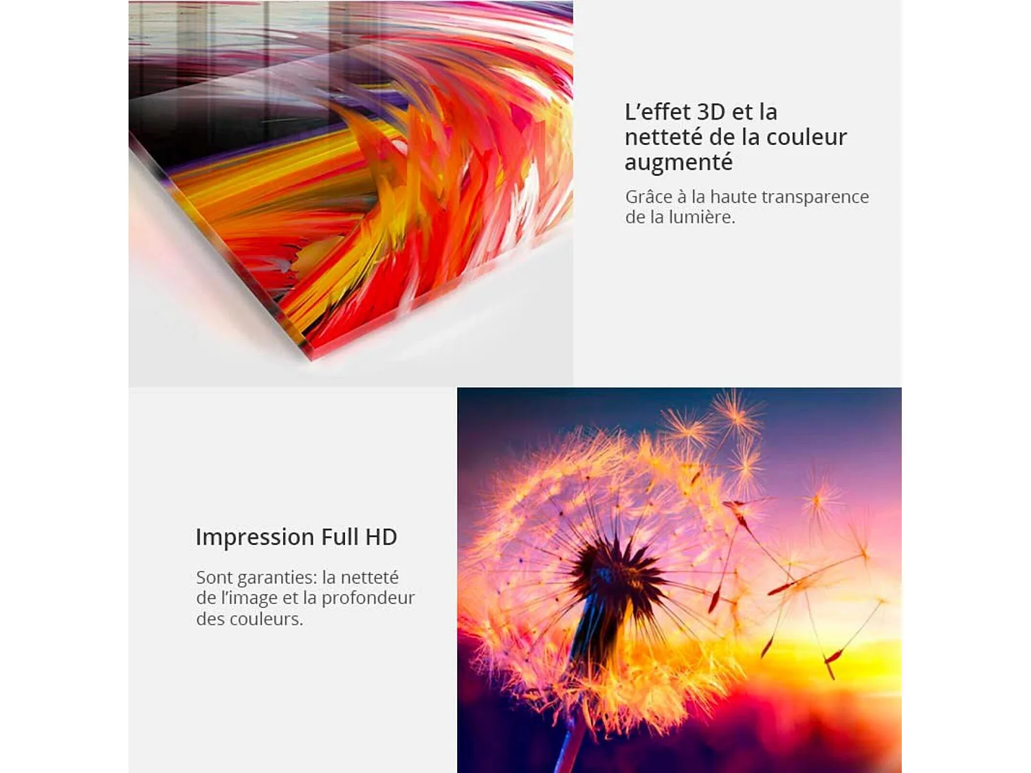 Tableau sur verre vol d'or - 200 x 100 cm