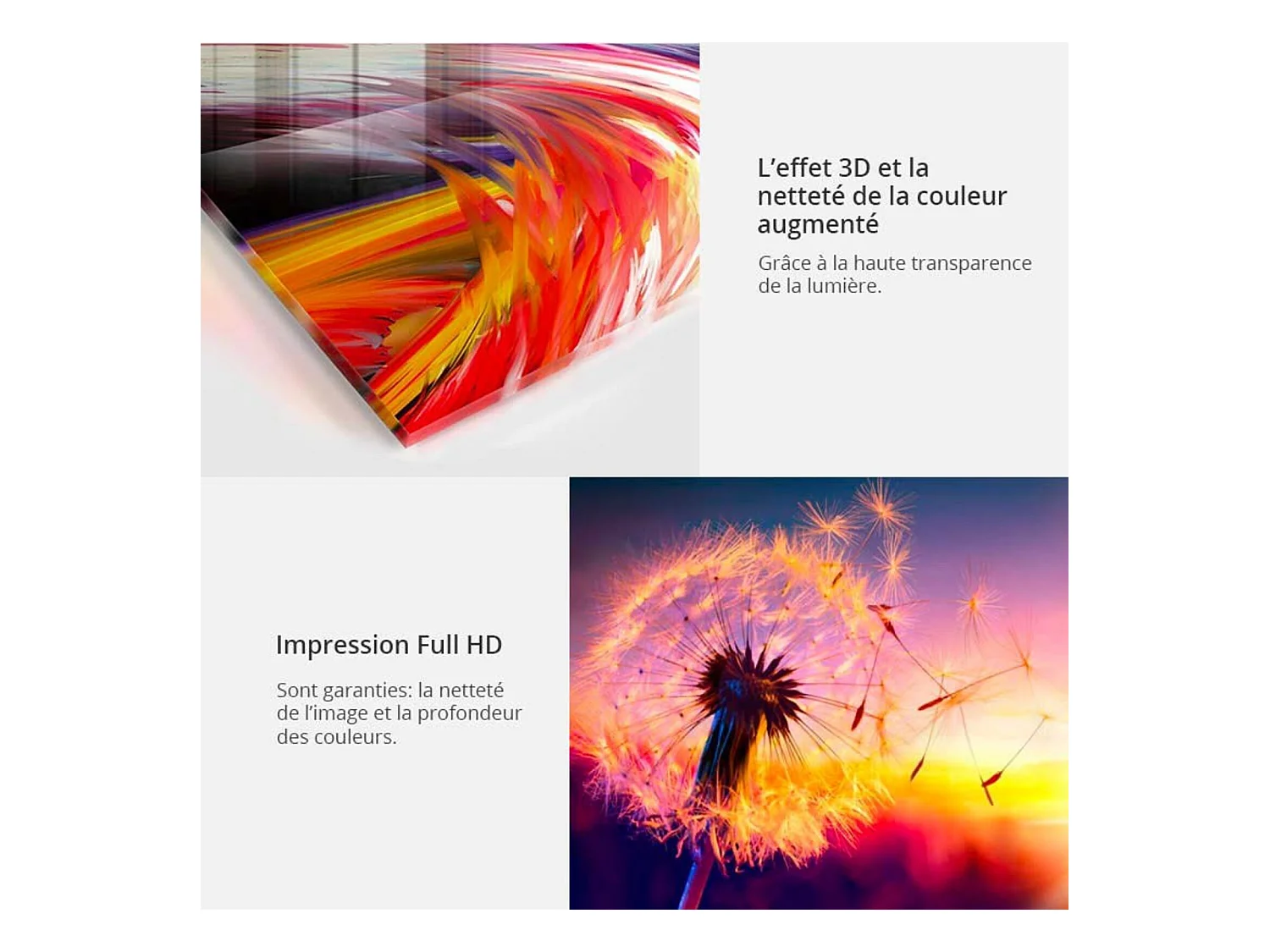 Tableau sur verre lion d'or - 200 x 100 cm