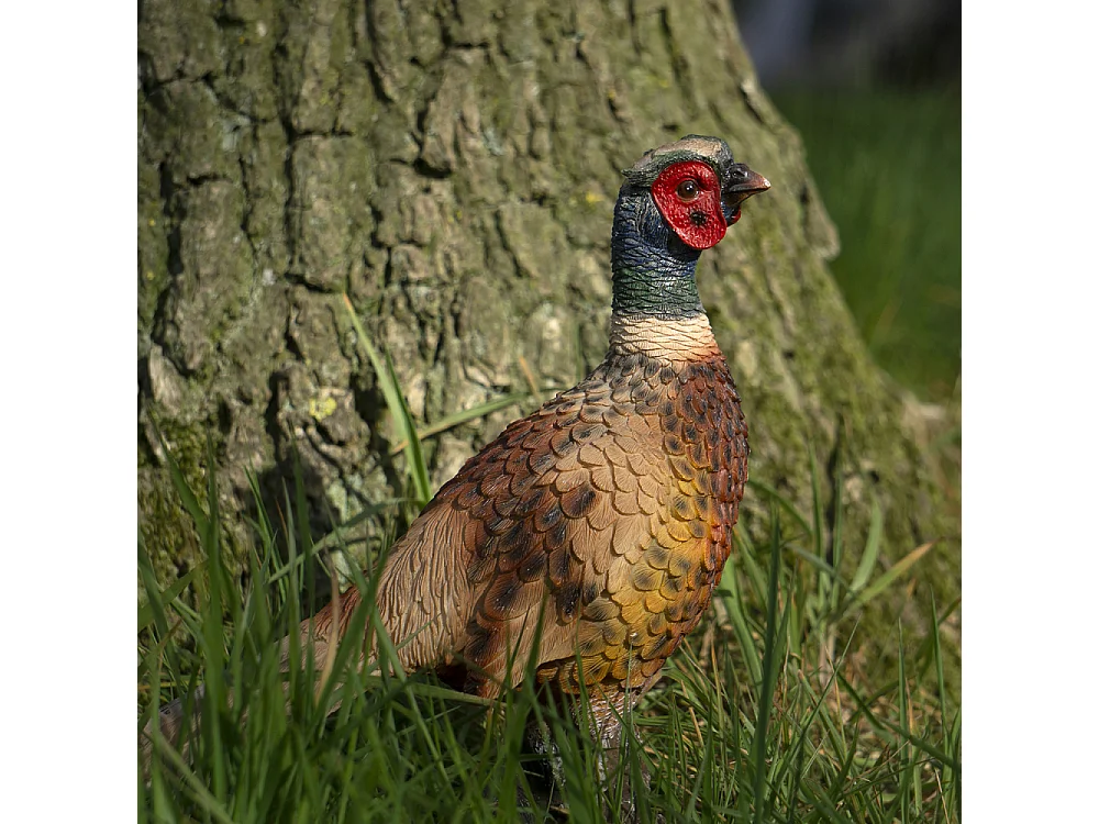 Faisan en résine 32 x 13 x 20 cm