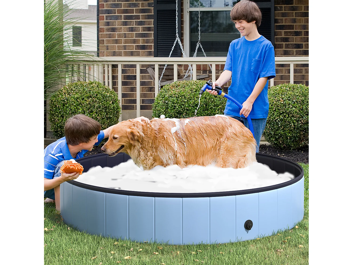 Piscine pour chien bassin PVC pliable anti-glissant facile à nettoyer diamètre 160 cm hauteur 30 cm bleu