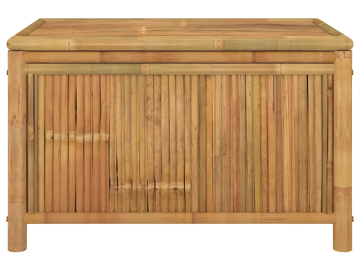 Boîte de rangement de jardin 90x52x55 cm Bambou