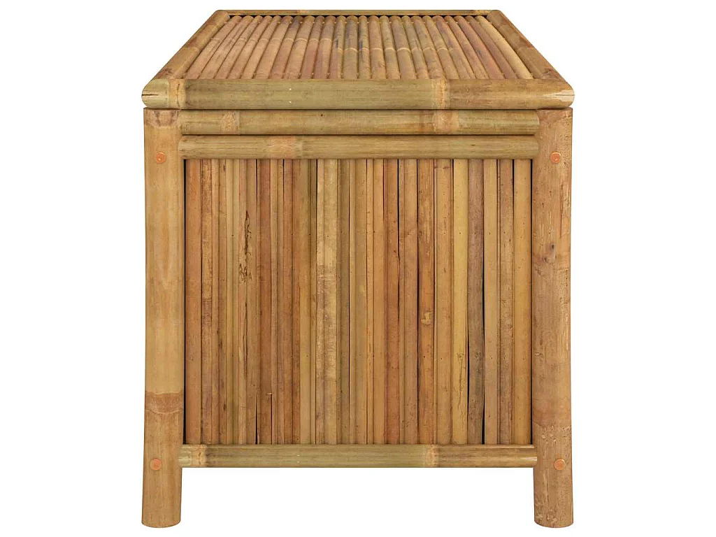Boîte de rangement de jardin 110x52x55 cm Bambou