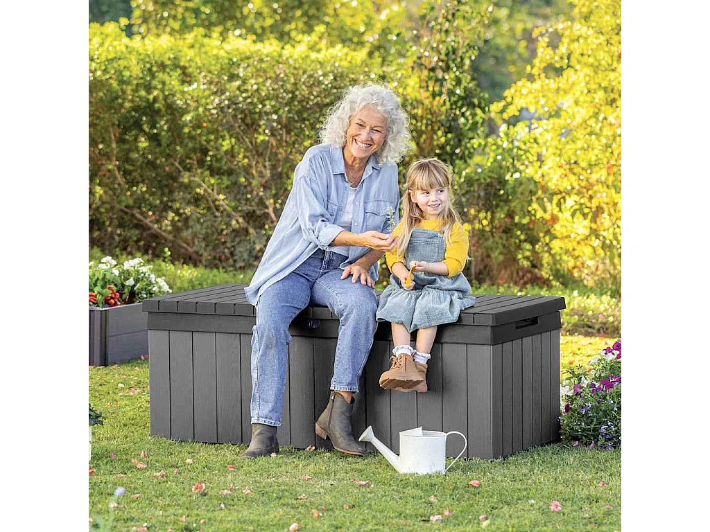 Boîte de rangement de jardin Darwin 380 L Gris