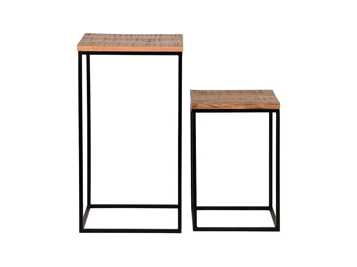 Ensemble de 2 supports pour plantes Vintage Brut