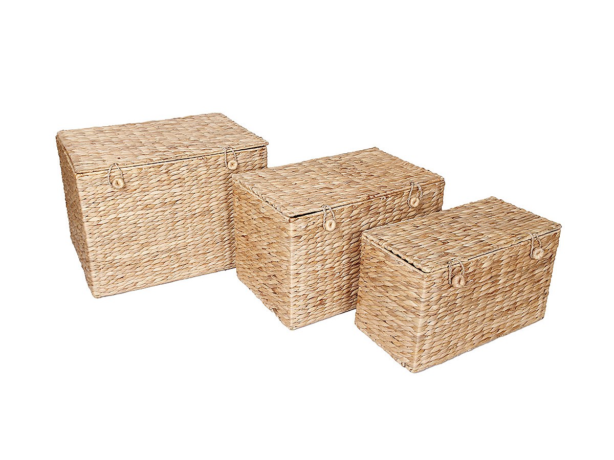 Korb mit Deckel 3er-Set CLEA - Wasserhyazinthe - Naturfarben jetzt