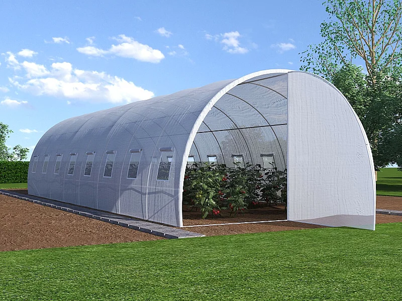 Serra a tunnel con struttura in Acciaio e porta 24 m² L300 x l800 x H200 cm - ALOCASIA