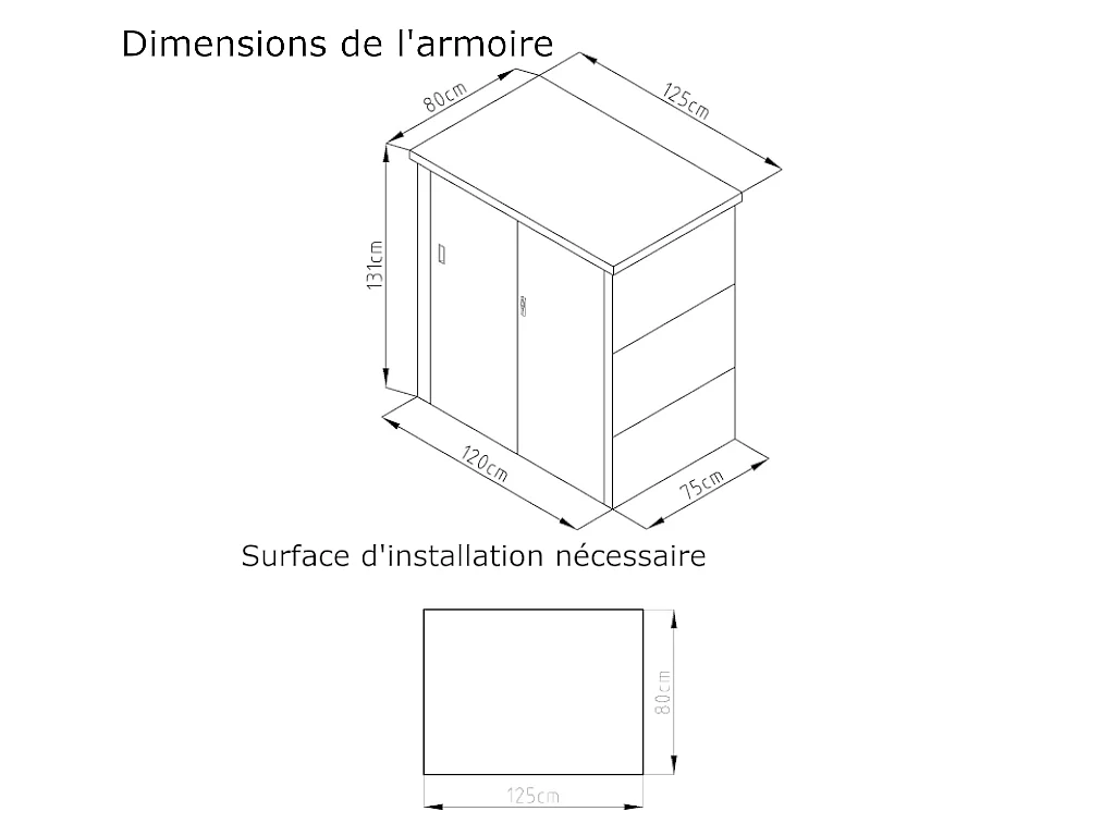 Armoire de rangement de jardin en métal acier galvanisé gris 1,31 m3 125x80x131 cm REIVAX