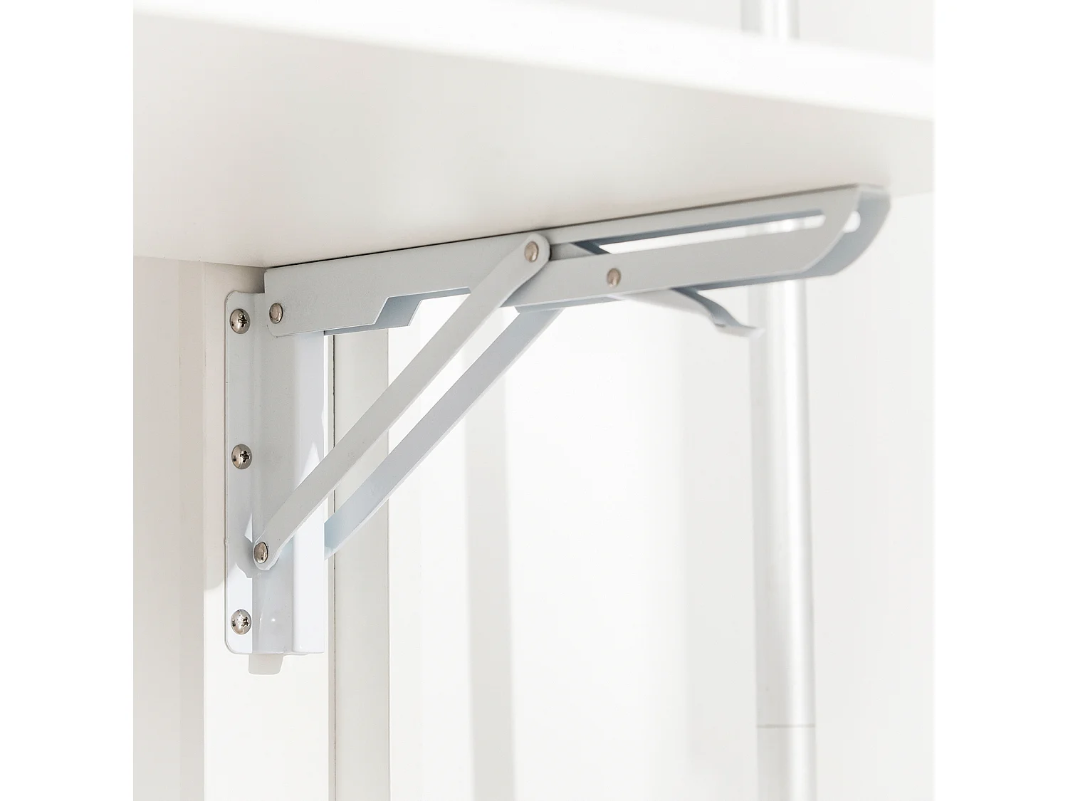 Zapatero con 2 Puertas Abatibles Zapatero Estrecho Organizador para Zapatos Blanco 60 x 24 x 110 cm FSR87-K-W SoBuy ES