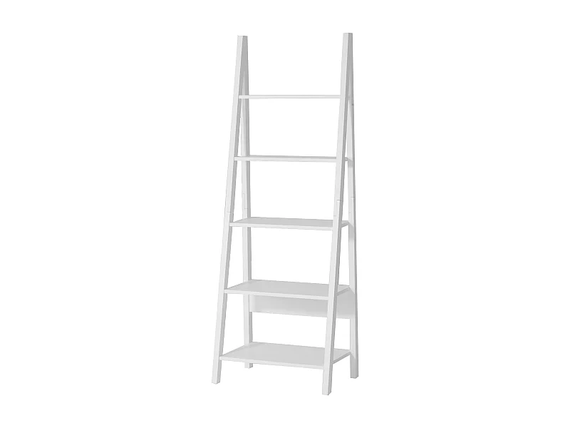 Bibliothèque, Étagère style échelle, Étagère échelle, 5 étages –Blanc, FRG61-W