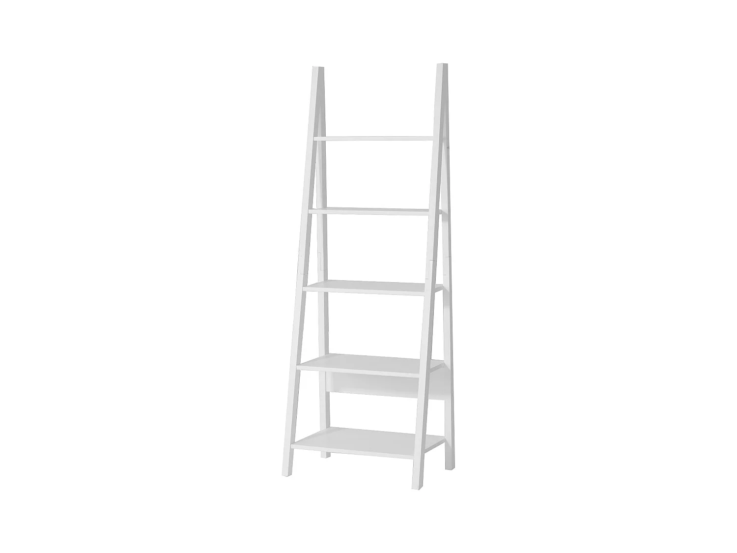 Bibliothèque, Étagère style échelle, Étagère échelle, 5 étages –Blanc, FRG61-W