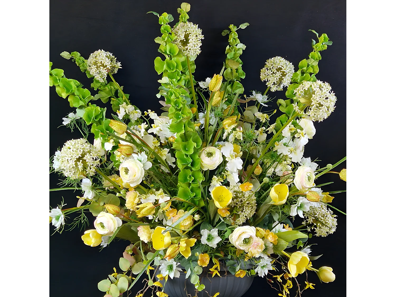 Tige de Fritillaria Impériale - Rouge