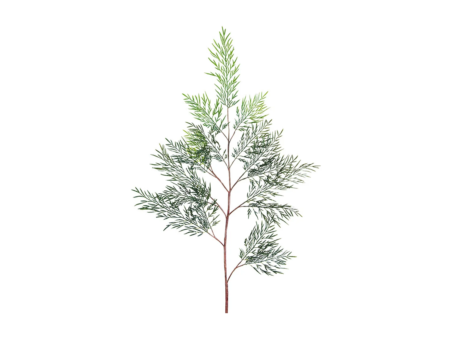 Feuillage de Fougère Australienne - Vert / 107 cm