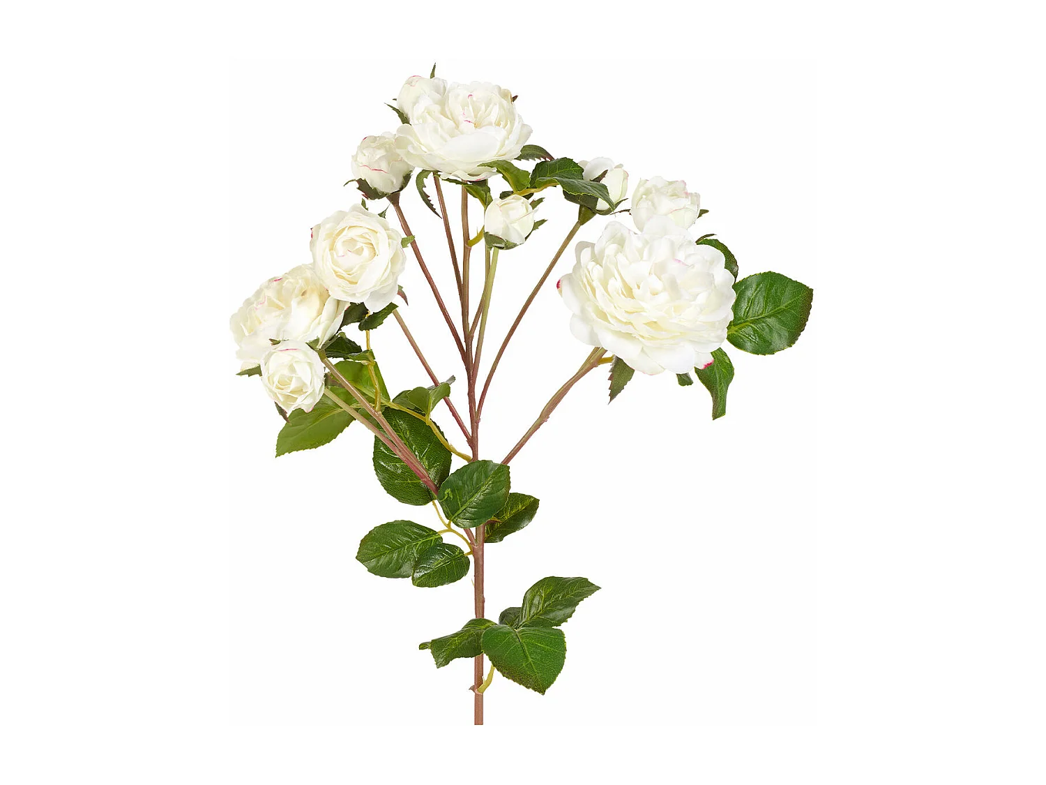 Tige de Roses - Orange