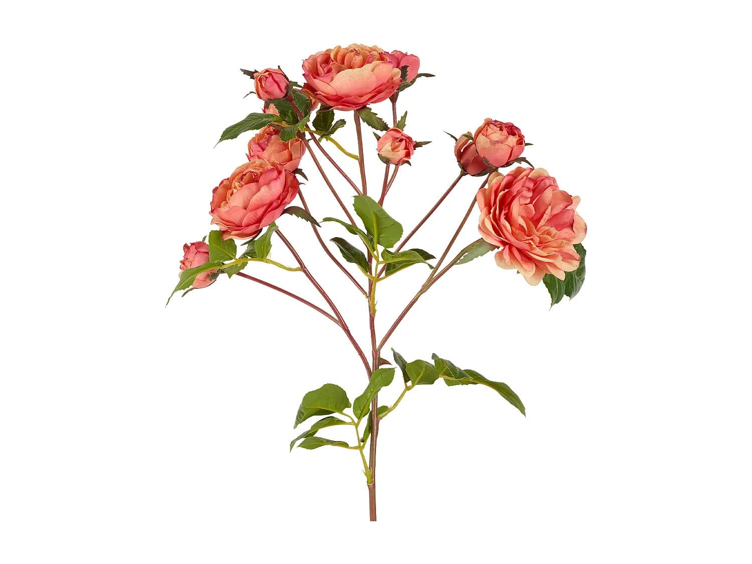 Tige de Roses - Orange