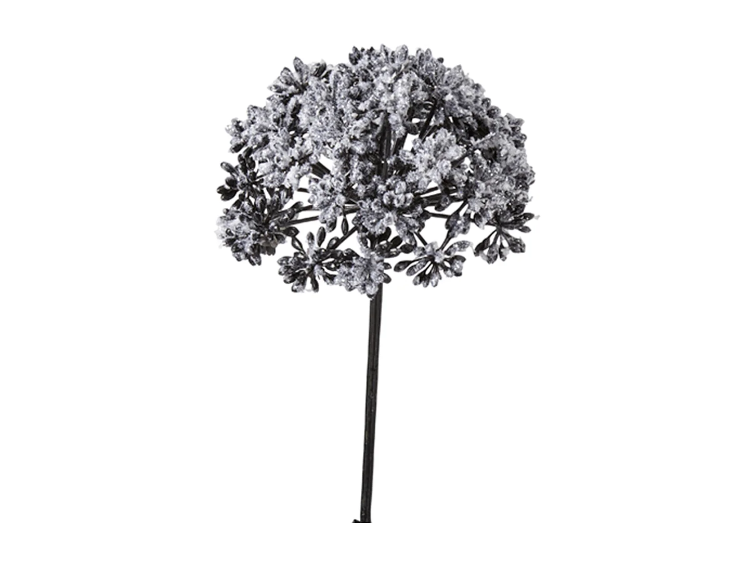 Tige d'Angélique Pailletée - Noir