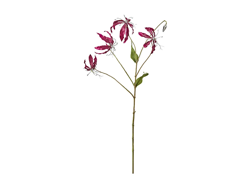 Tige de Gloriosa Amy Pailletée - Blanc / 88 cm