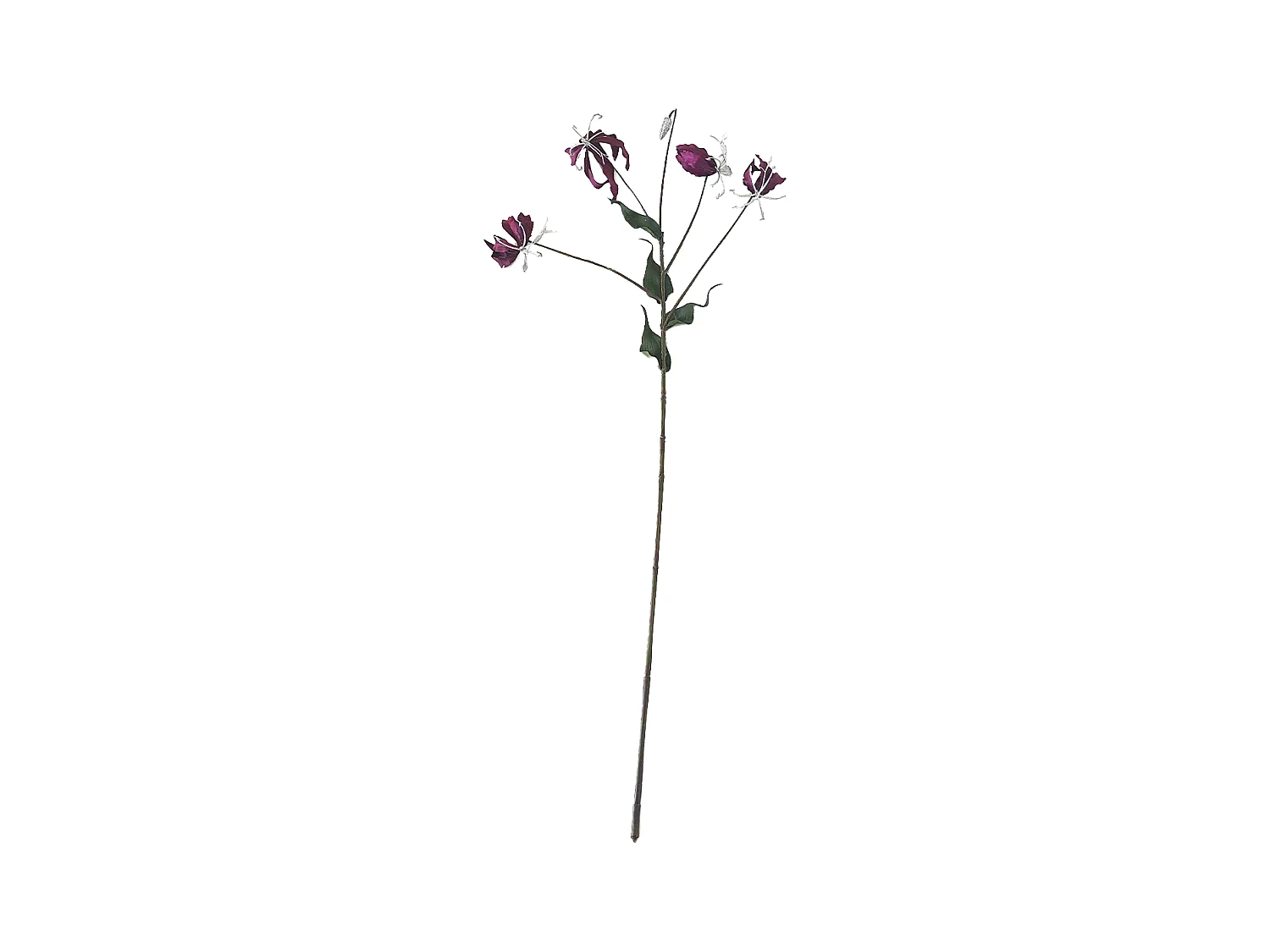 Tige de Gloriosa Amy Pailletée - Blanc / 88 cm