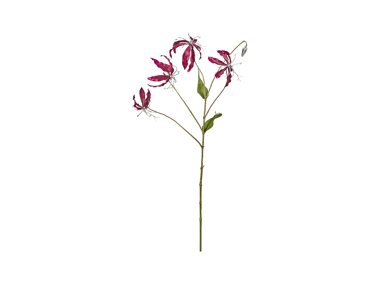 Tige de Gloriosa Amy Pailletée - Blanc / 88 cm
