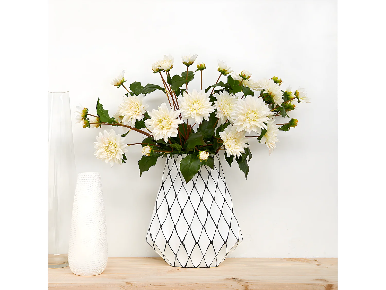 Tige de Dahlia Clara