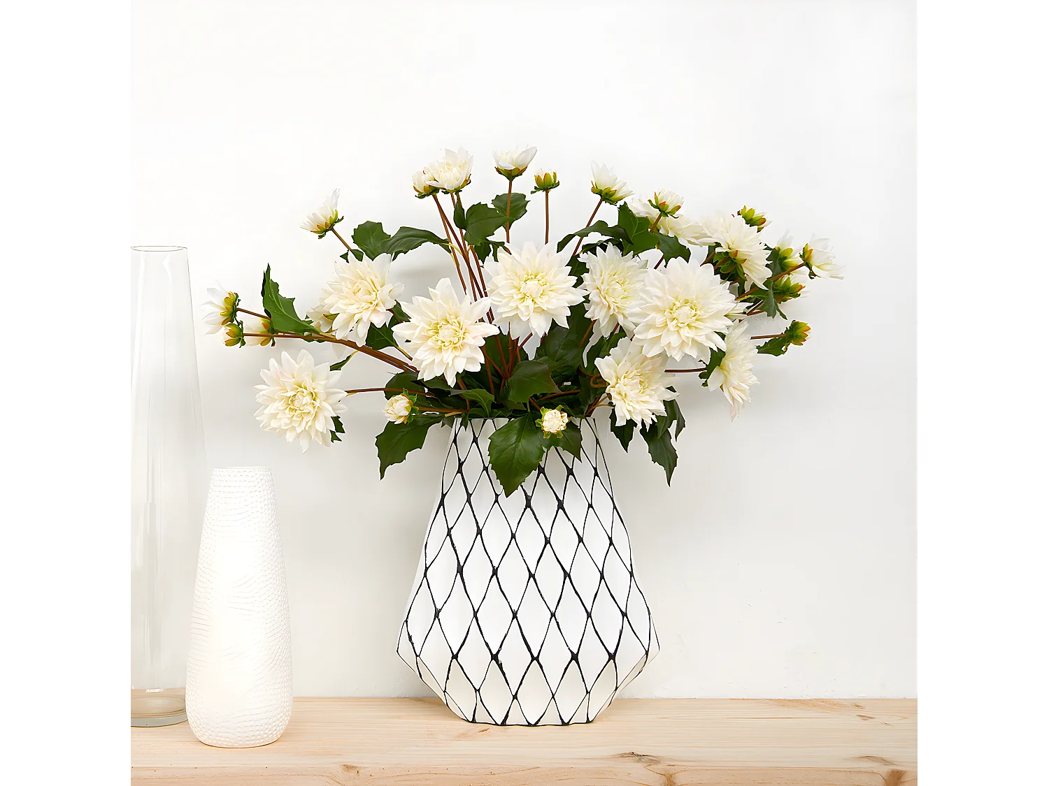 Tige de Dahlia Clara