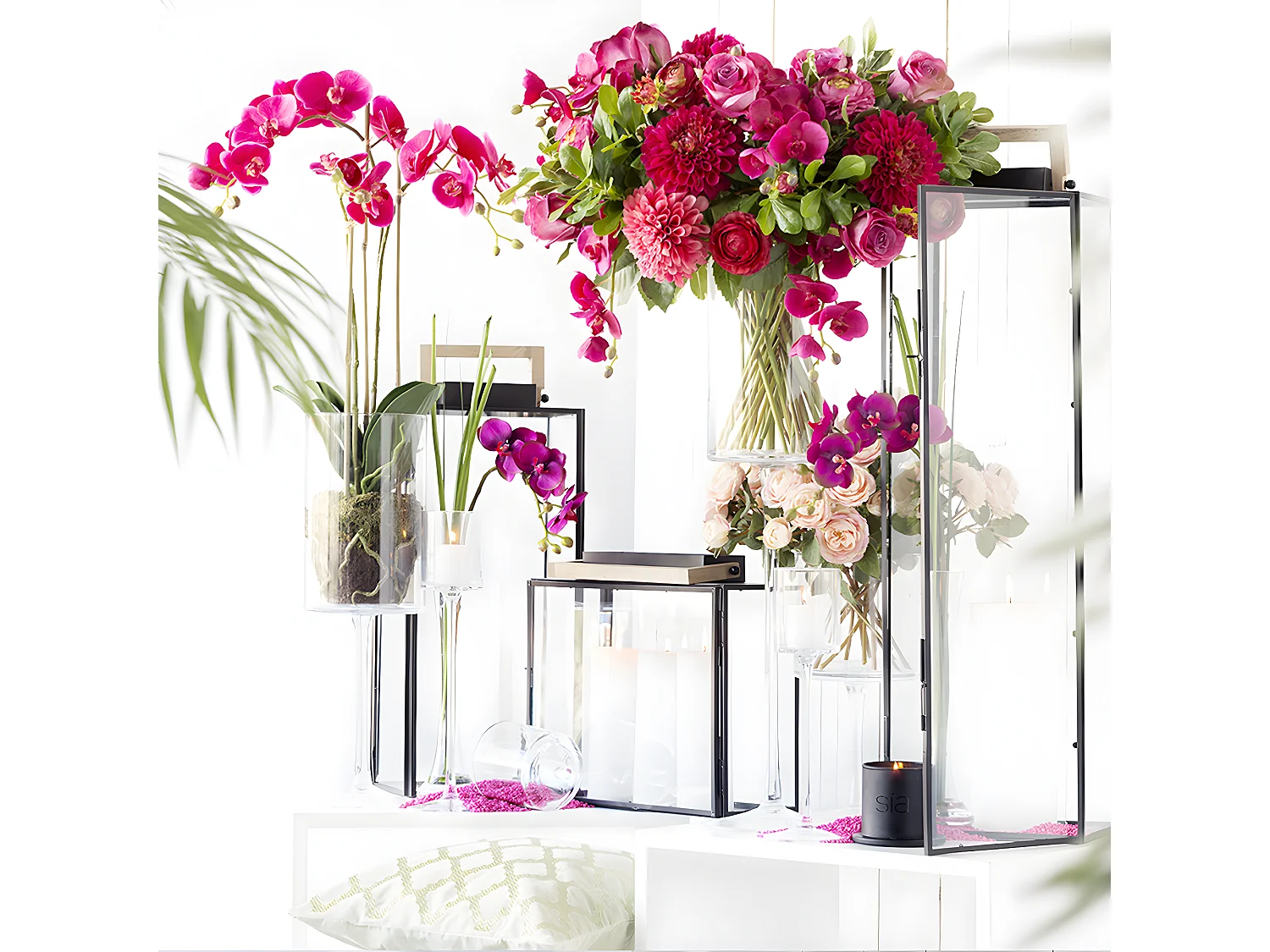 Tige d'Orchidée Phalaenopsis Forever - Blanc