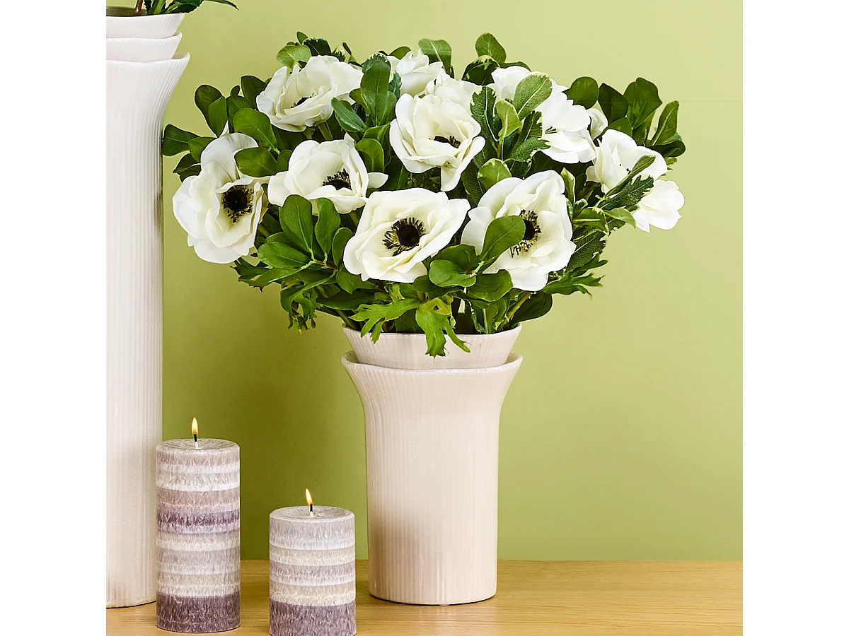 Tige d'Anémone Velvet - Rouge